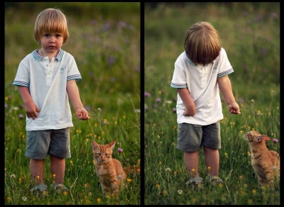 Два Рыжика.