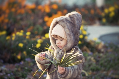 Из осенних фото.