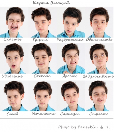 Карта 12 эмоций