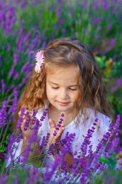 Сиреневое поле